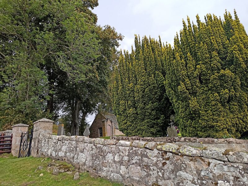 The Migvie Stone
