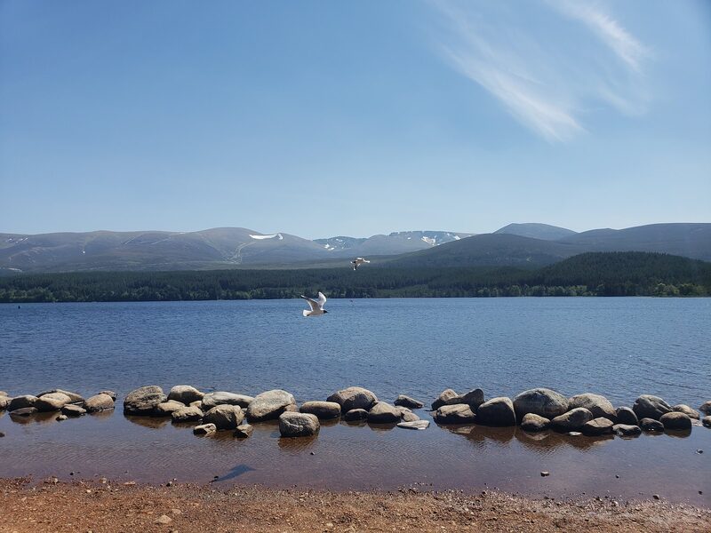 Loch Morlich