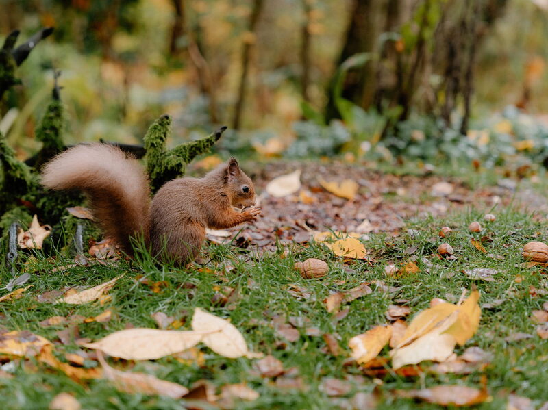 A Family Stay in Rural Perthshire, photograph by Simon Hird