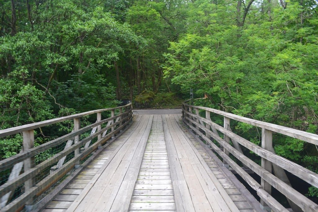 A wooden footbridge on the Way through green woods.