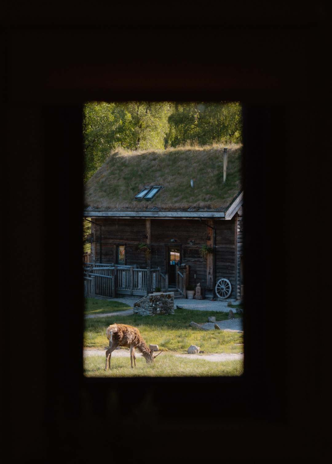 Inside Eagle Brae: The Quiet Highland Stay That Keeps Drawing People Back