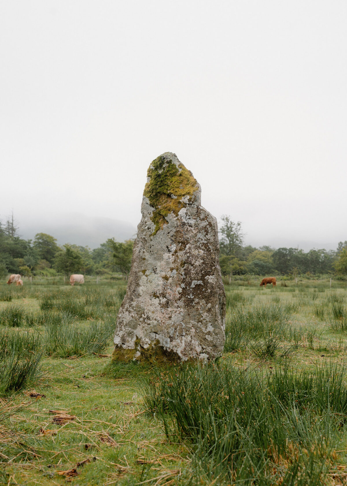 Visiting the Lochbuie Stone Circle on the Isle of Mull