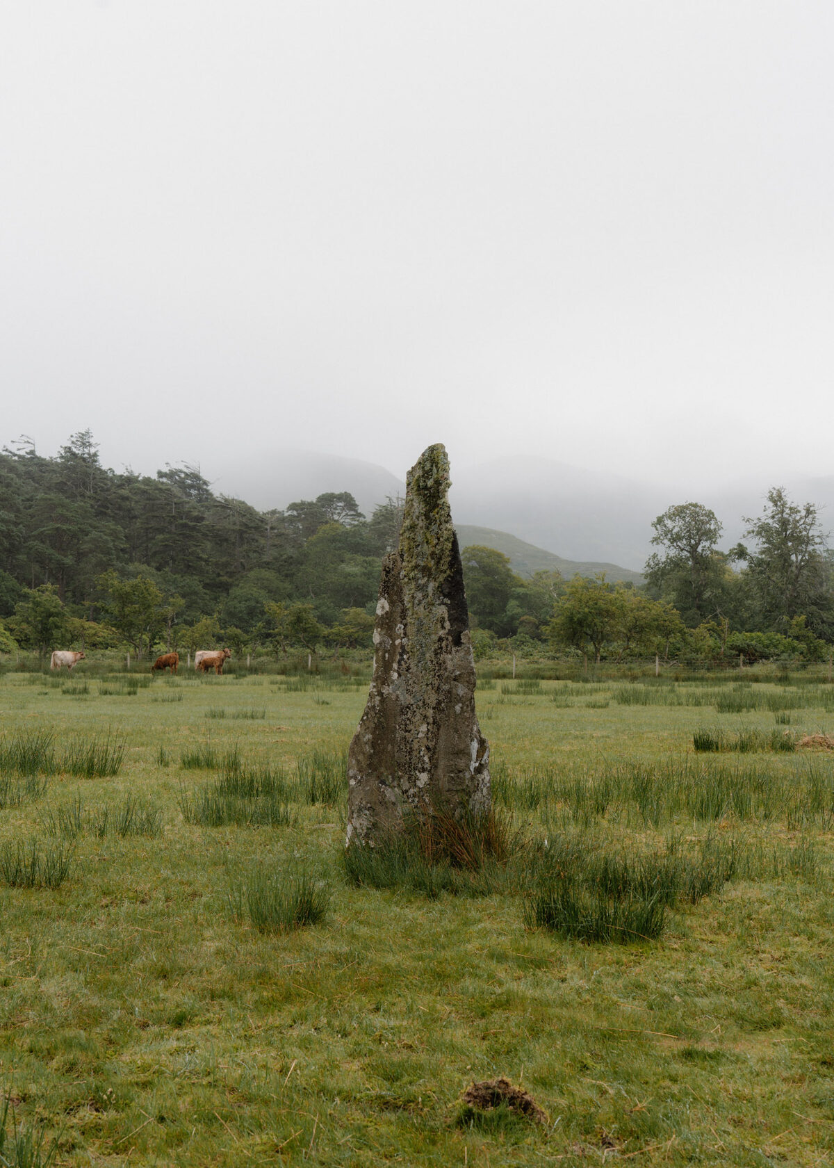 Visiting the Lochbuie Stone Circle on the Isle of Mull