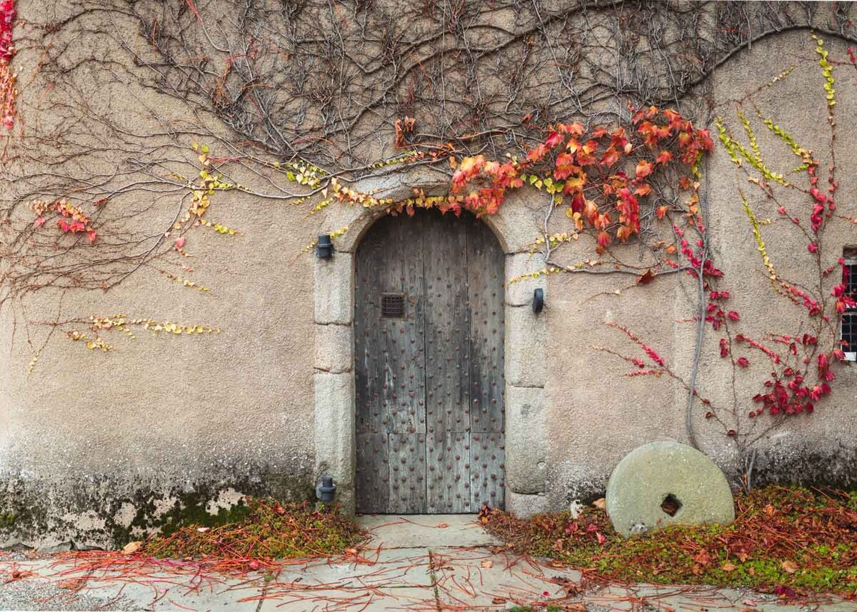 From Painted Ceilings to Walled Gardens: A Day at Crathes Castle