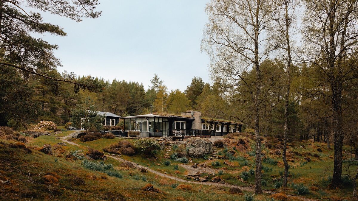 Our Cabin in the Wood