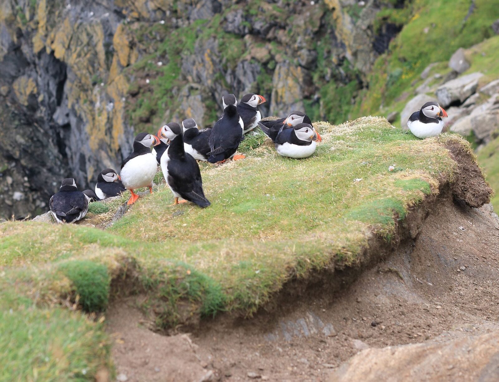 Yell, Unst and the North Isles