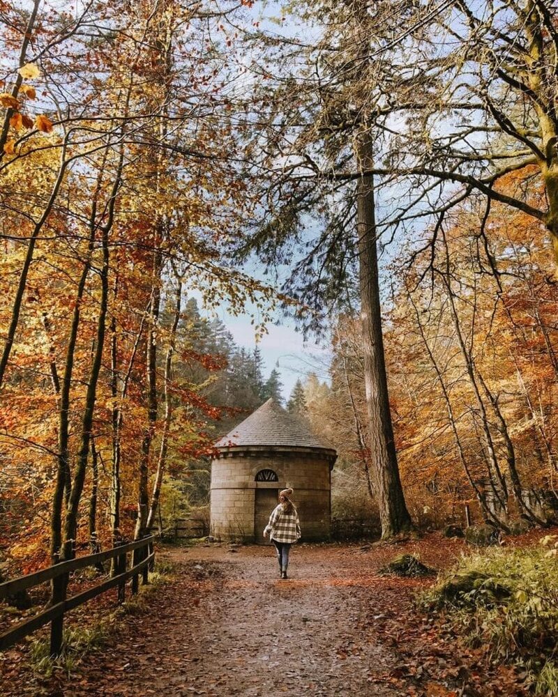 Woman walks towards a stone hut through autumn woodland