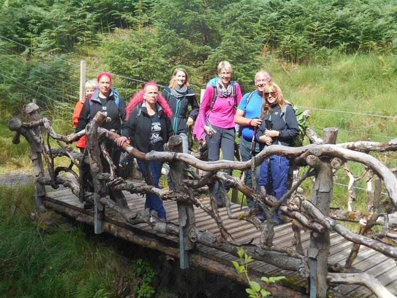 Walkers pause on a wooden bridge with twisted branch railings amid ferns