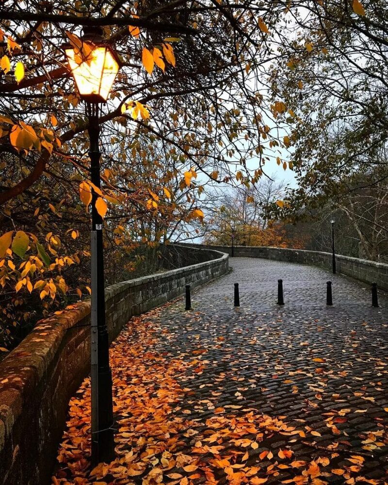 Lit lamppost beside a cobbled bridge scattered with autumn leaves