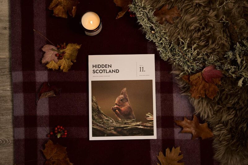 Welcome to issue 11