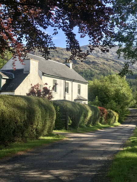 A white harled house with a slated roof sits behind a clipped hedge along a gravel drive, hills rising behind autumn trees.