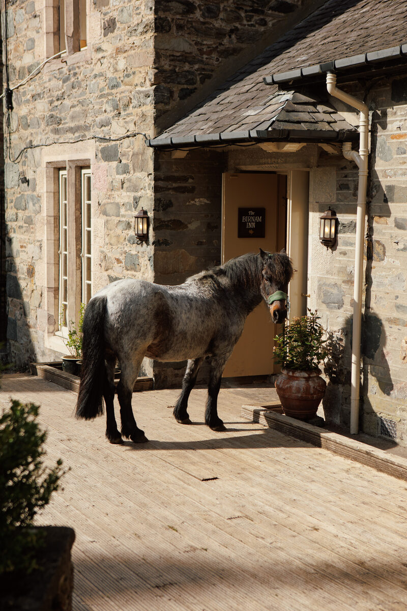 The Birnam Hotel opens its doors to the Birnam Inn Pop-Up Pub