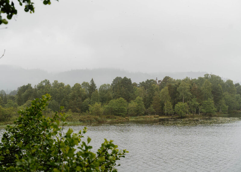 Loch of the Lowes Wildlife Reserve