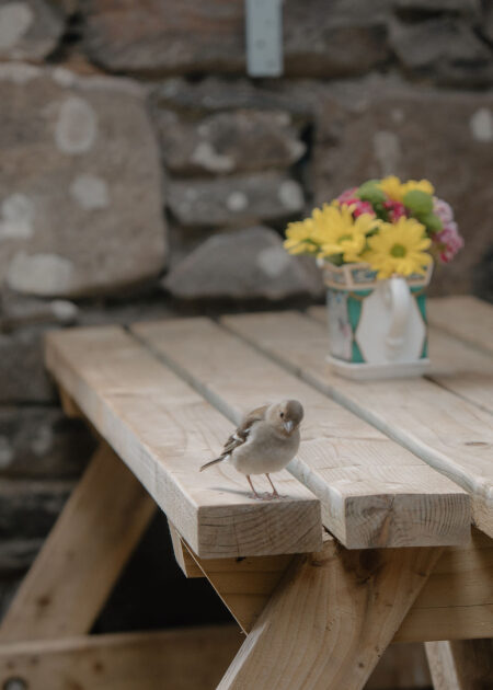 Kerrera Tea Garden, Argyll and Bute